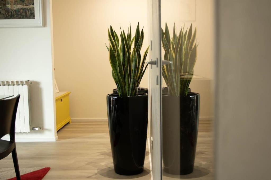 Atelier Verona Exteriér fotografie
